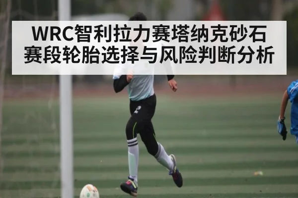 WRC智利拉力赛塔纳克砂石赛段轮胎选择与风险判断分析